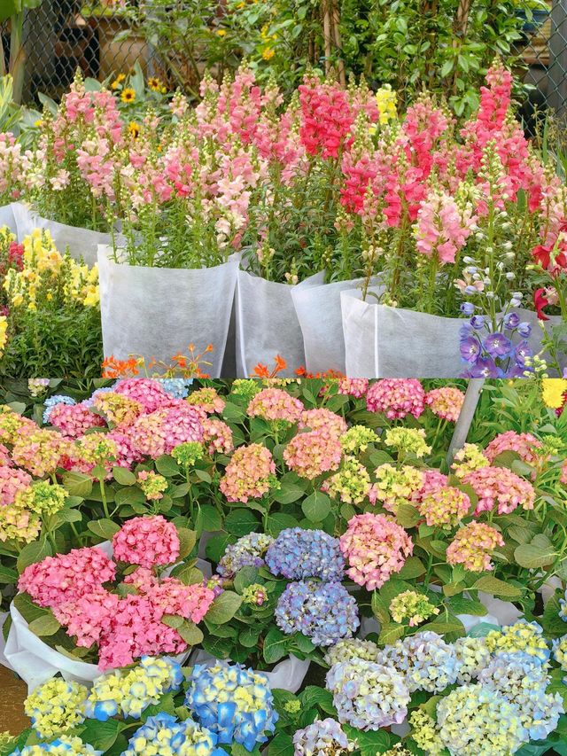 這才是重慶最大的後花園｜宏帆望海花都。