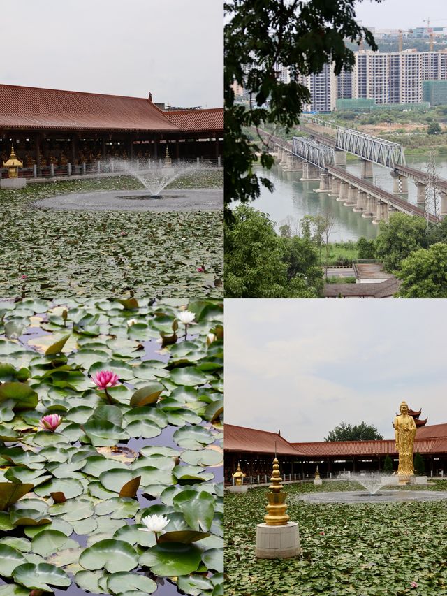 綿陽，暴走幾萬步的一天～。