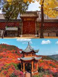 盤點適合帶小朋友出遊的5個城市。