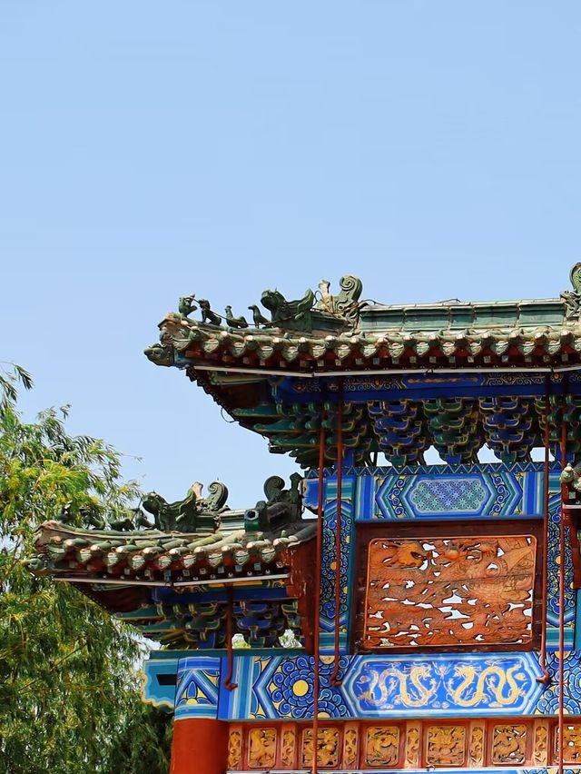 成都 | 賞銀杏遊玩的好去處（附白雲寺攻略）。
