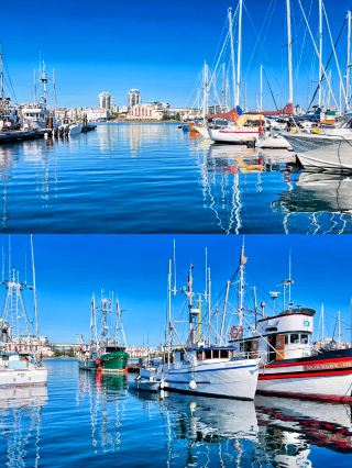 🪸A colorful fairy tale world at Victoria Fisherman's Wharf.