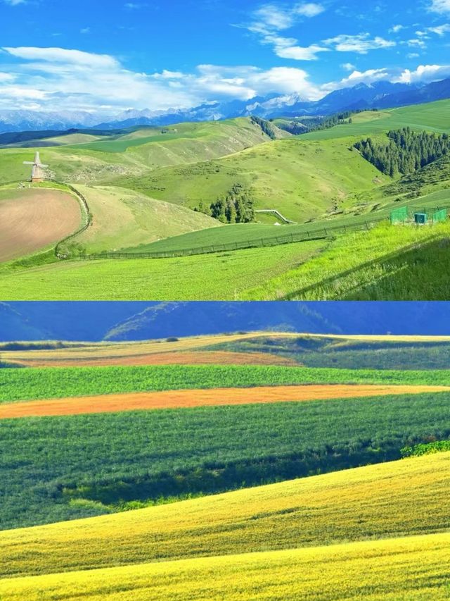 99%人都錯過的江布拉克秋天晨景，宛如油畫。