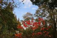 生活處處有驚喜~~廊下郊野公園。