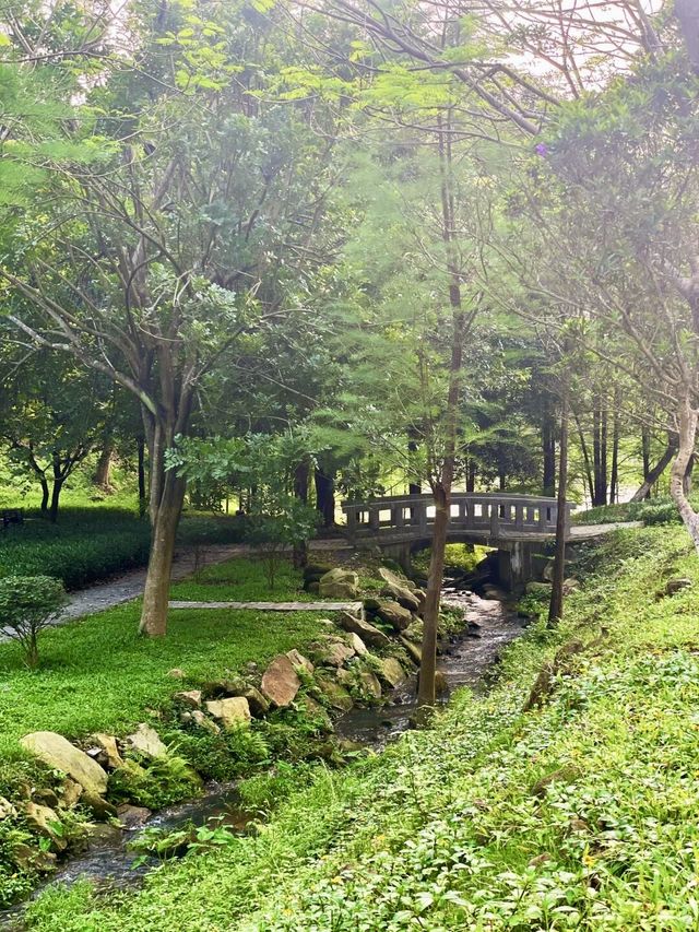 廣州增城區太子坑森林公園|這觀賞日落勝地你不會還不知道吧。