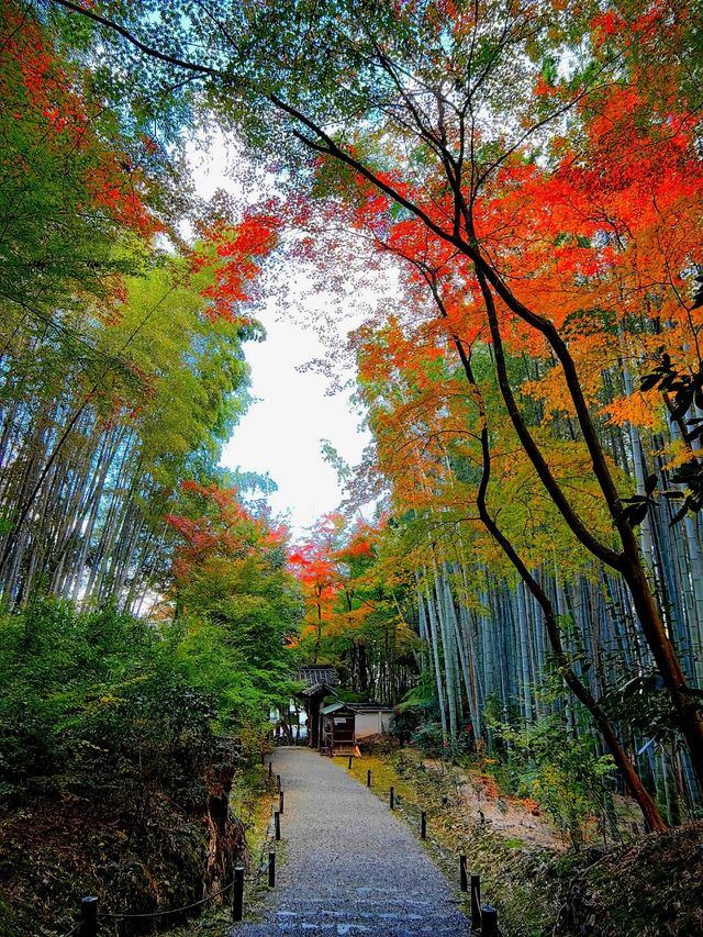 一休師傅出家地，京都地藏院。