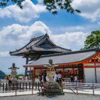 💖在大阪，有一個宛如世外桃源般的地方——聖尾寺。