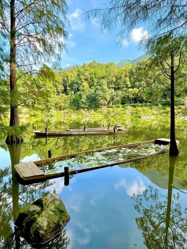 仙湖植物園是我心中深圳公園第一名🥇