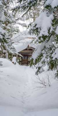 北海道｜我的雪國日記⛄️