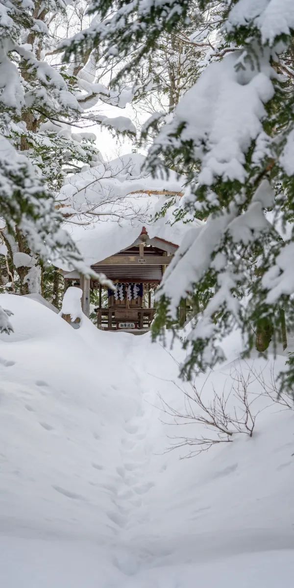 北海道｜我的雪國日記⛄️