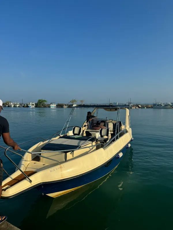 Sri Lanka | Mirissa Whale Watching Guide