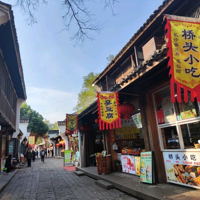 冬日不一樣的西溪湿地公園