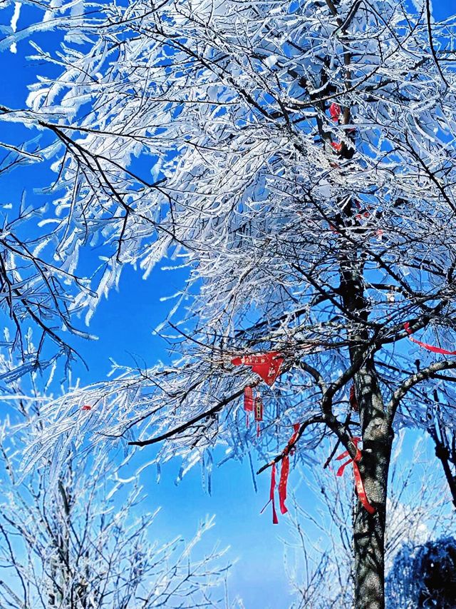 南岳衡山賞雪，沒有攻略真心勸你別去！！