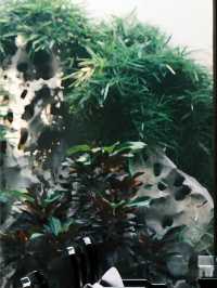 福州三坊七巷三寶賓第
