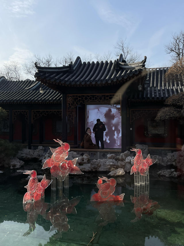 跟隨皮影戲感受非遺的魅力北京皮影戲