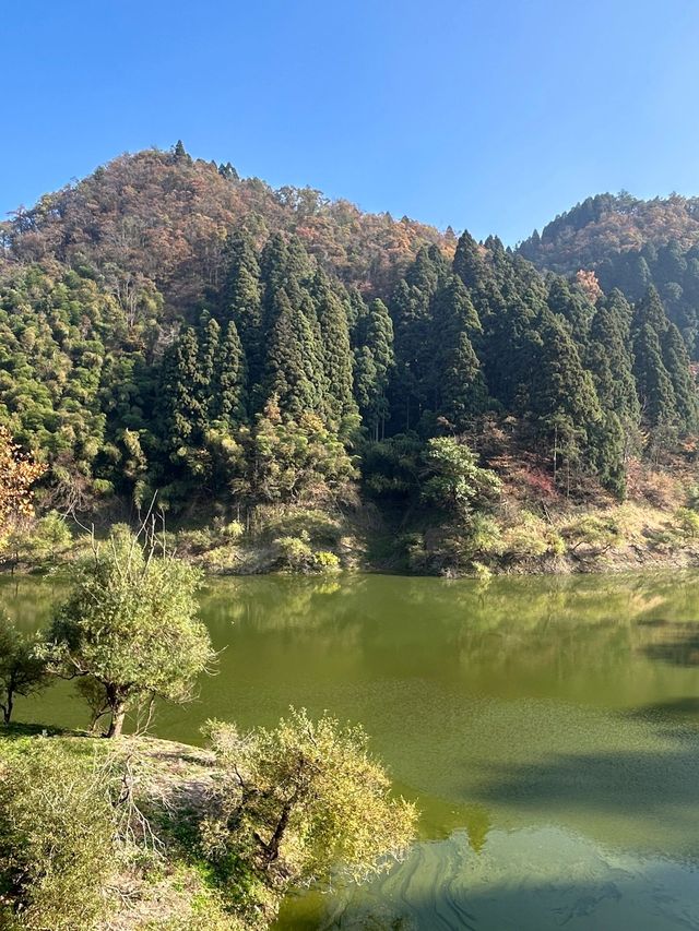 江西南昌-廬山-婺源7日遊 玩轉三地不重樣