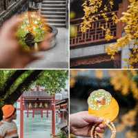 地鐵直達｜滿園金色，寶輪寺的銀杏黃了❗️||屬於重慶的冬日氛圍感已經拉滿