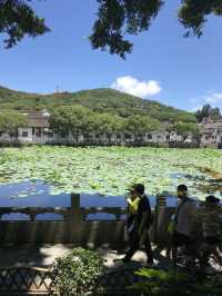 跟着歌聲去舟山｜普陀山遊玩重點