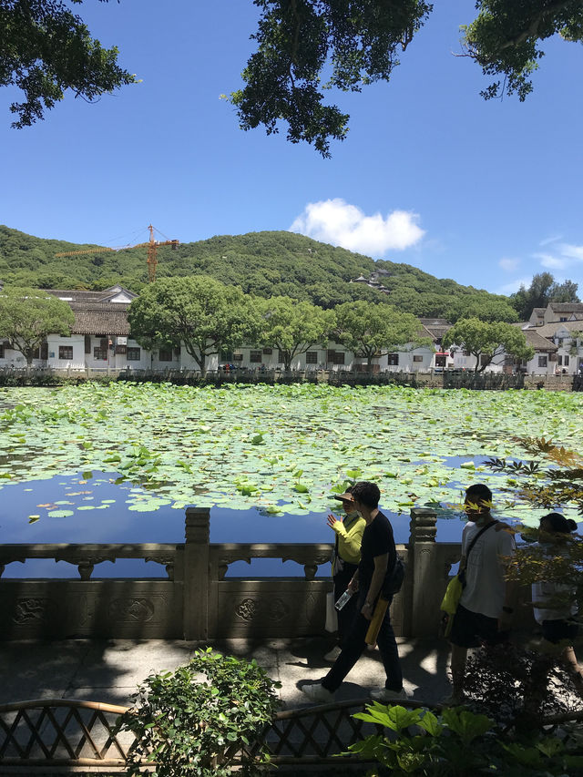 跟着歌聲去舟山｜普陀山遊玩重點