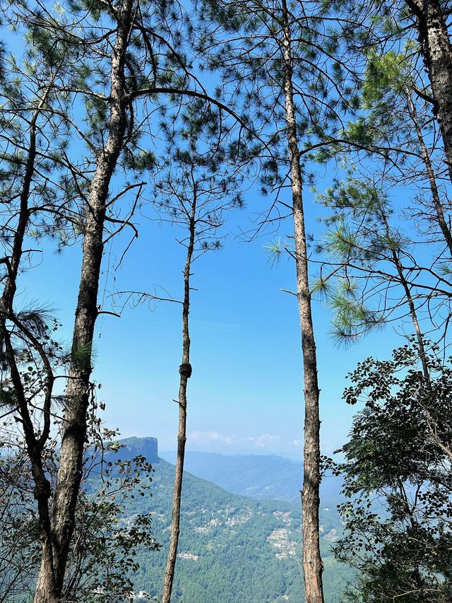 劍門關-劍閣翠雲廊2日遊 超詳細攻略快收藏