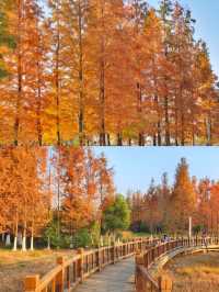 被南昌象湖濕地公園治癒了