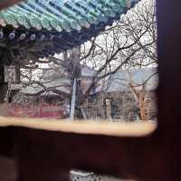 一眼千年｜邂逅山陝會館的古韻風華