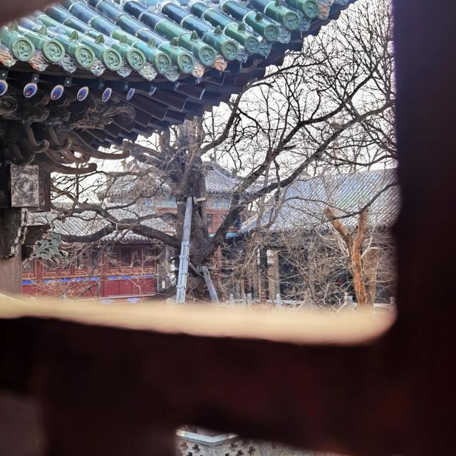 一眼千年｜邂逅山陝會館的古韻風華