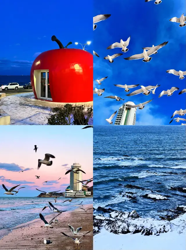 Yantai after snow is a fairy tale world