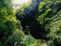 Green Ocean of Wufengshan: Surrealistic Beauty