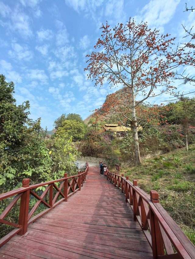 昌化江畔木棉賞花碼頭一一木棉紅景區