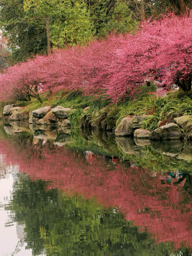 在成都！唯一想去無數次的公園