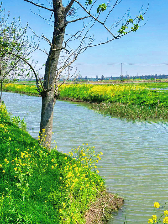 不是威海南京出發1h直達「通向大海的路」