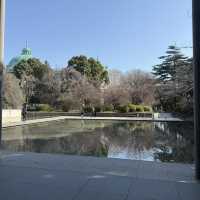 上野公园/東京國立博物館一日游攻略，超全乾貨！