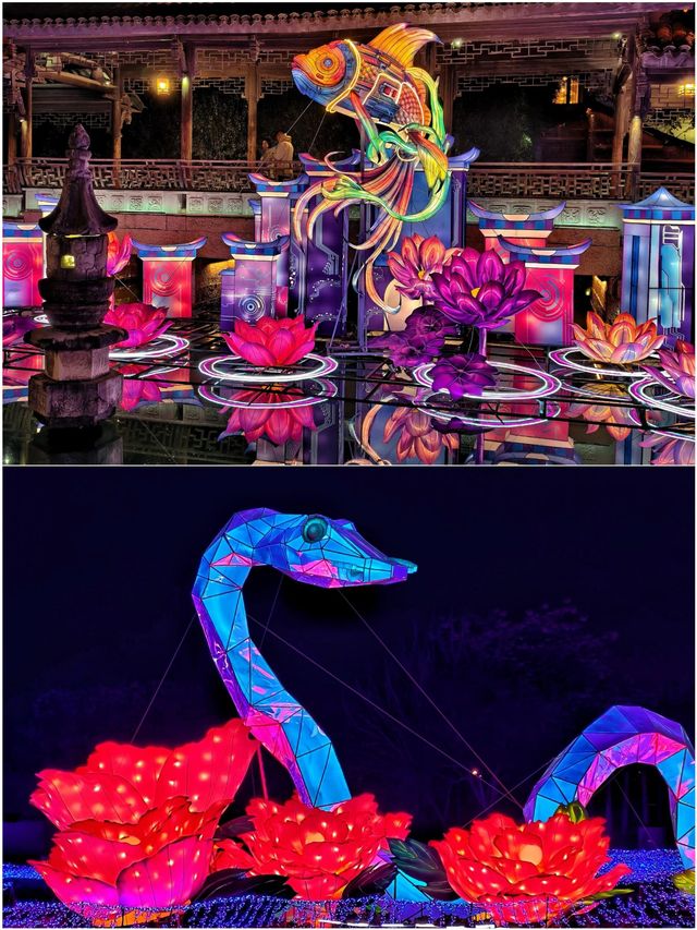 嘉興四天三夜已回 後勁真的太大了