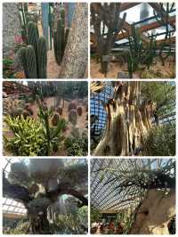 冬日裏的太原植物園