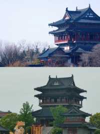 泰州已回，我的消費觀崩塌了。