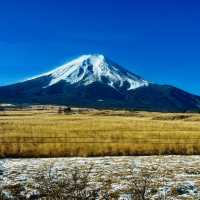 東京周邊@富士山一合目啦