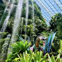新加坡濱海灣花園已回 奉勸玩唔明白嘅姐妹