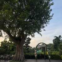 🇸🇬人生建議：離開新加坡前一定要去這裡