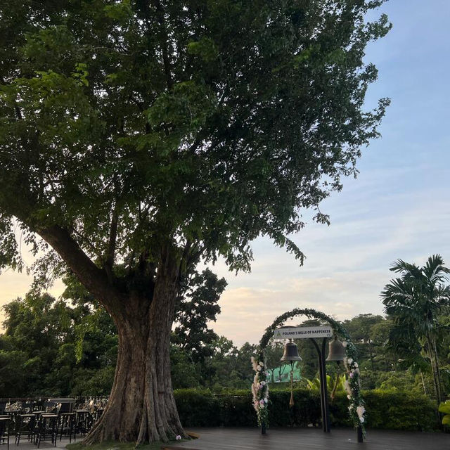 🇸🇬人生建議：離開新加坡前一定要去這裡