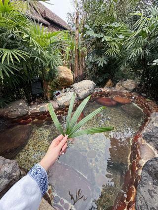 Duofangge Hot Spring Resort Hotel, Guiyang