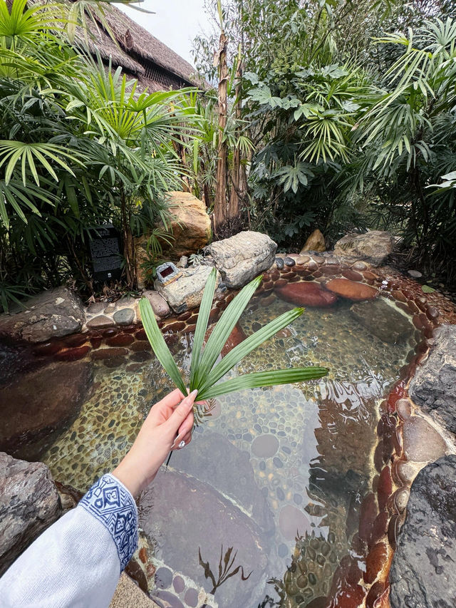 貴陽朵芳閣溫泉度假酒店