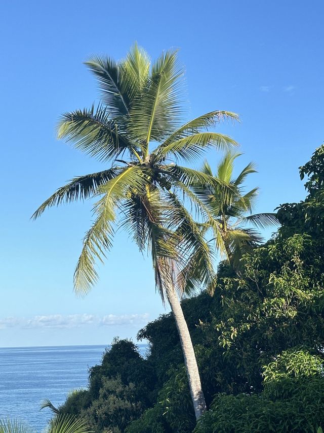 寒假去塞舌爾 看這篇攻略就夠了