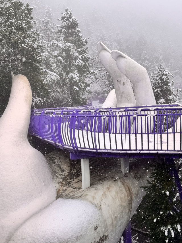 萬畝櫻花田，配上雪景真美了