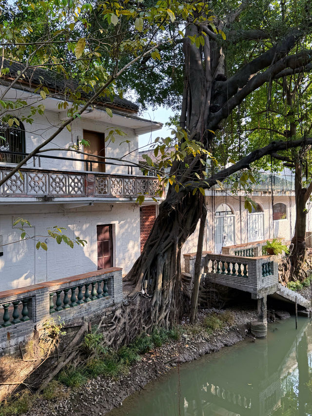 佛山小眾旅遊｜百年·歷史舊糧倉～