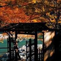 日本Ding級旅館的細節控有多可怕😱！
