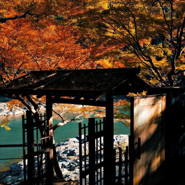 日本Ding級旅館的細節控有多可怕😱！