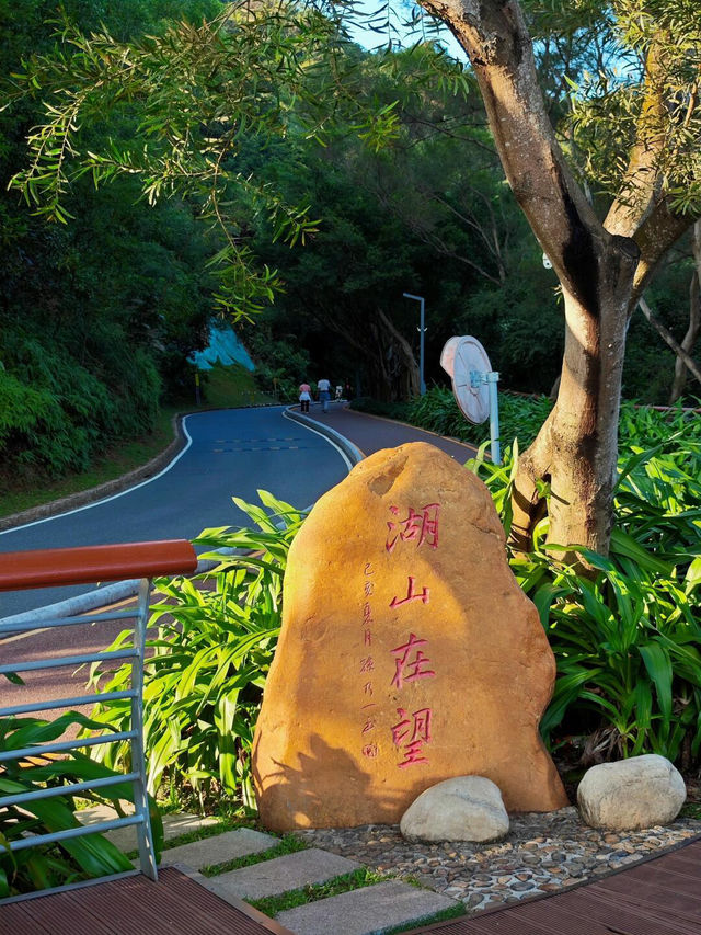 🌈深圳版千島湖｜淘金山綠道攻略，治癒力拉滿✨