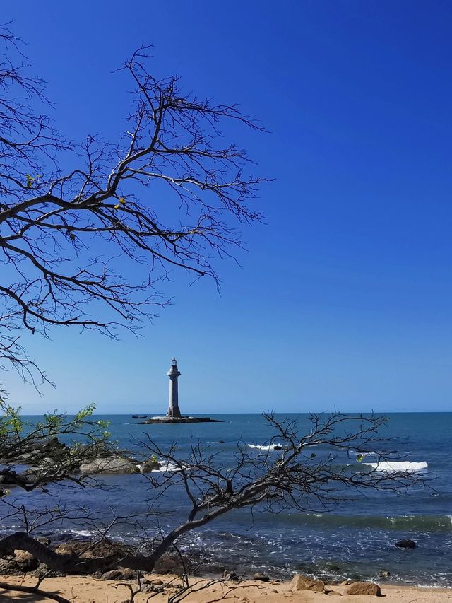 5日暢遊三亞—南山海上觀音—西島 探尋綠意盎然的自然秘境