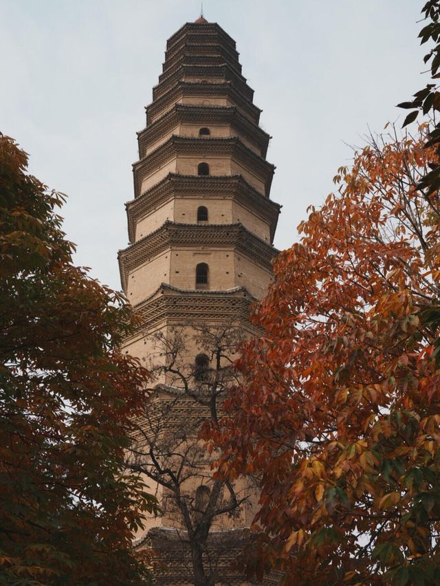 高陵昭慧塔｜渭北第一古塔