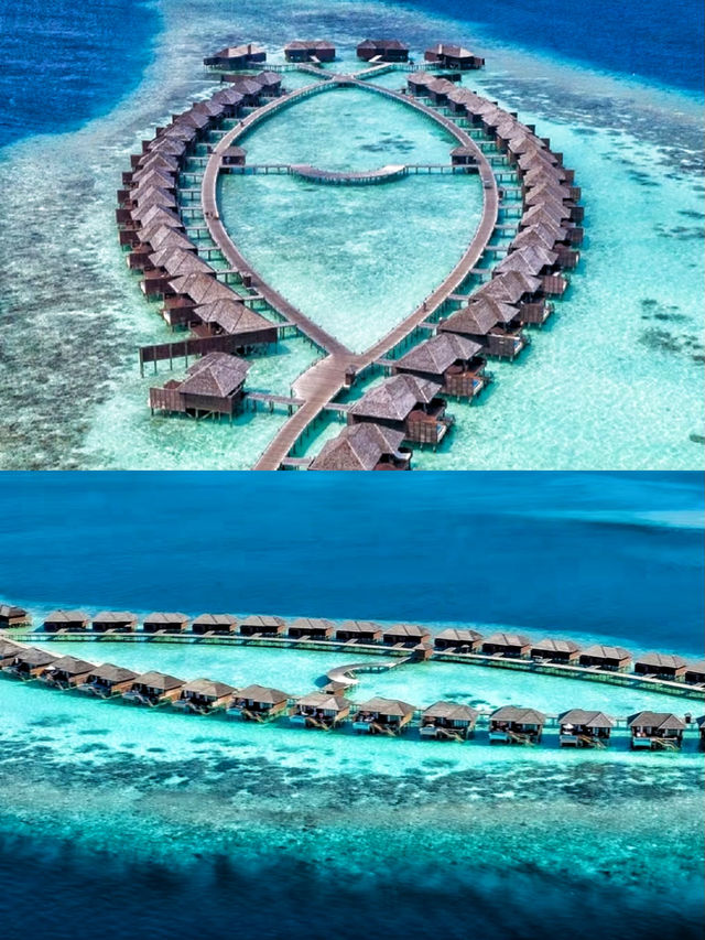 浮潛沙灘雙A級馬爾代夫莉莉島，再唔嚟你都對唔住自己